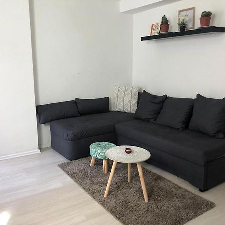 Bescheidene Untergeschoss Wohnung In Guter Lage. Кельн Екстер'єр фото