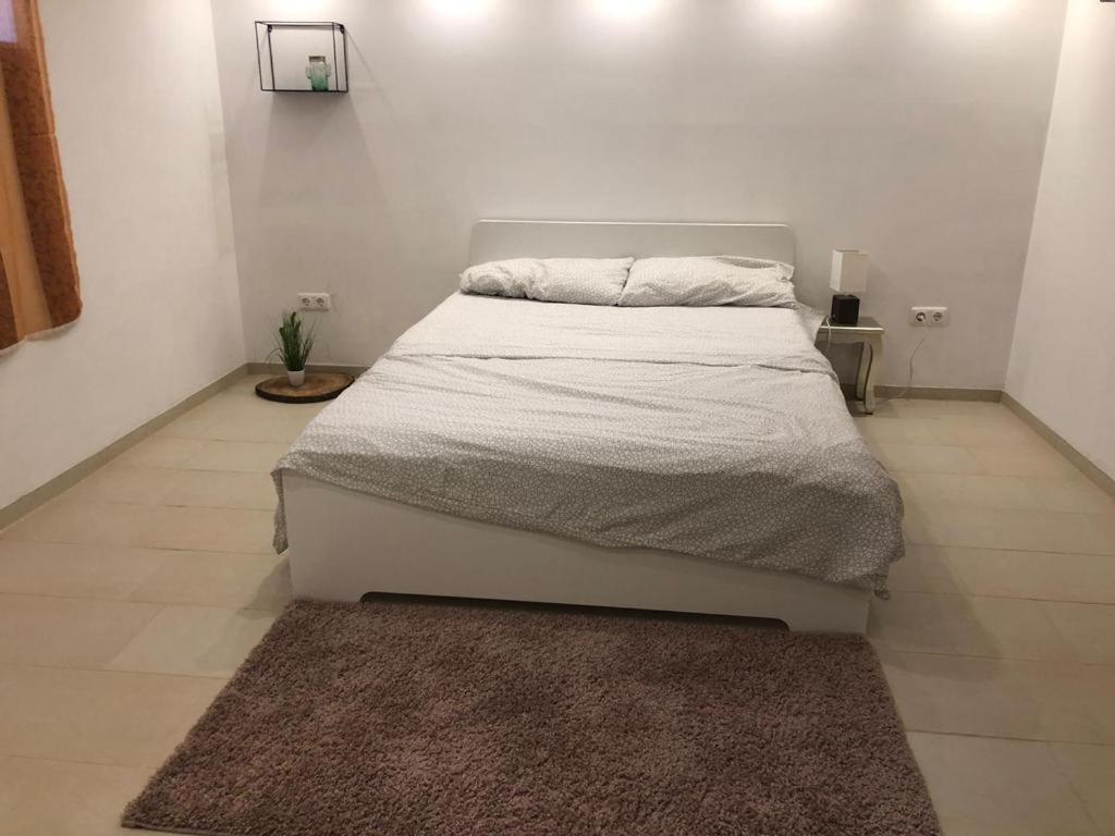 Bescheidene Untergeschoss Wohnung In Guter Lage. Кельн Екстер'єр фото