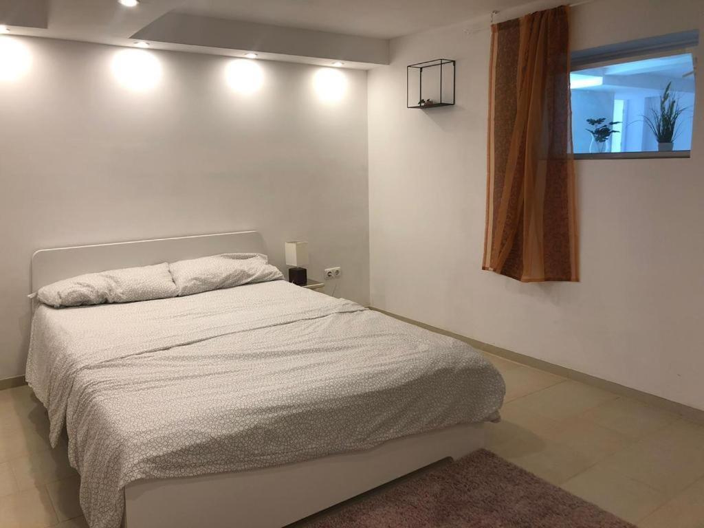 Bescheidene Untergeschoss Wohnung In Guter Lage. Кельн Екстер'єр фото